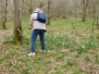 Randonne "Les jonquilles" du 17 mars 2017