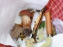 Randonnée autour des champignons le 15 octobre 2021
