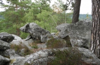 DSCN9087-1024x768