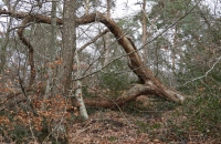 DSCN2272-1024x768