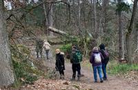 IMG-20230326-WA0000-768x1024