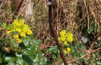 IMG-20230326-WA0002-768x1024
