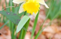 05
