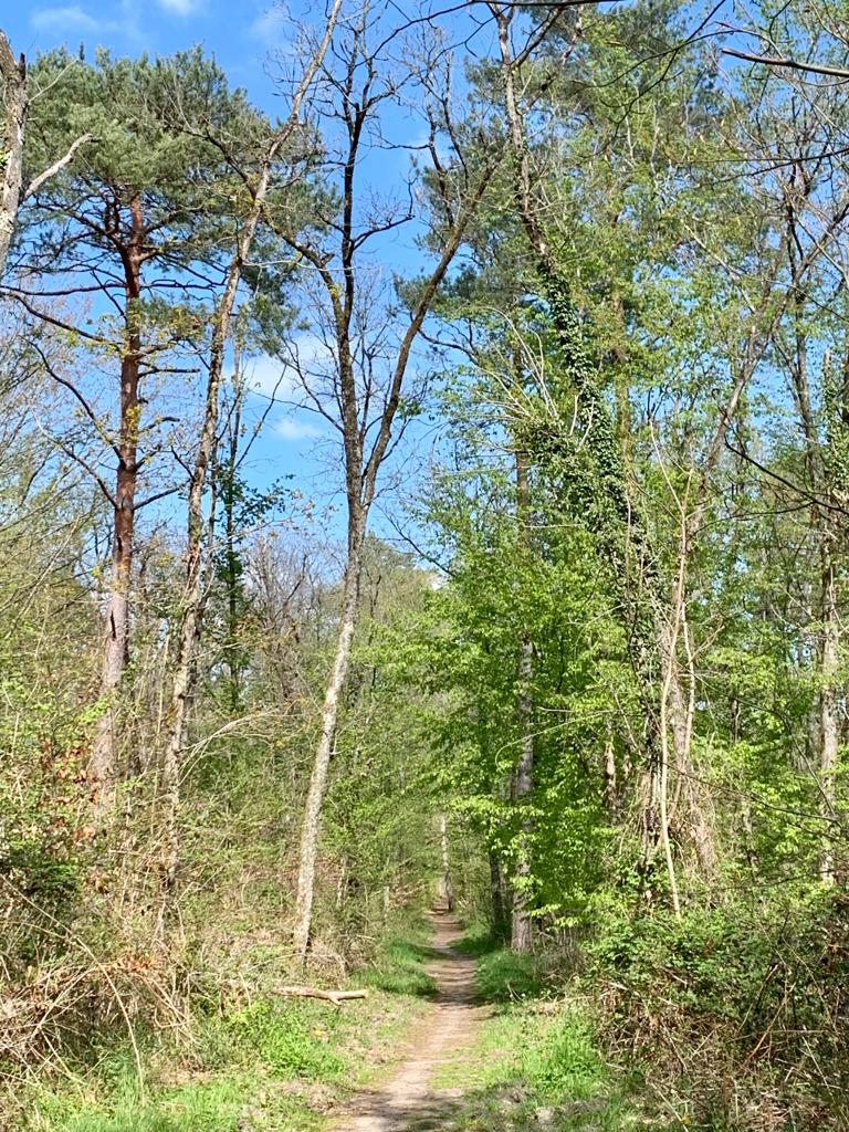 040