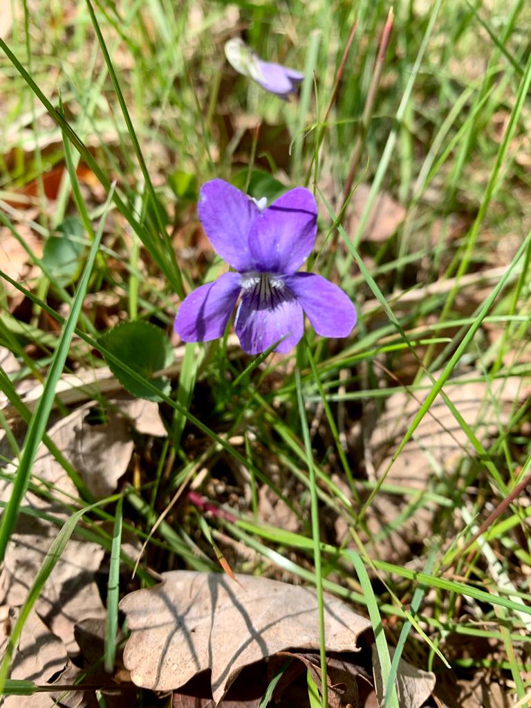 042
