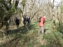 Randonnée sur le thème des jonquilles du vendredi 13 mars 2020