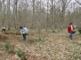 Randonnée sur le thème des jonquilles le 15 mars 2019