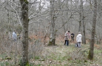 DSCN5430 (640x480)