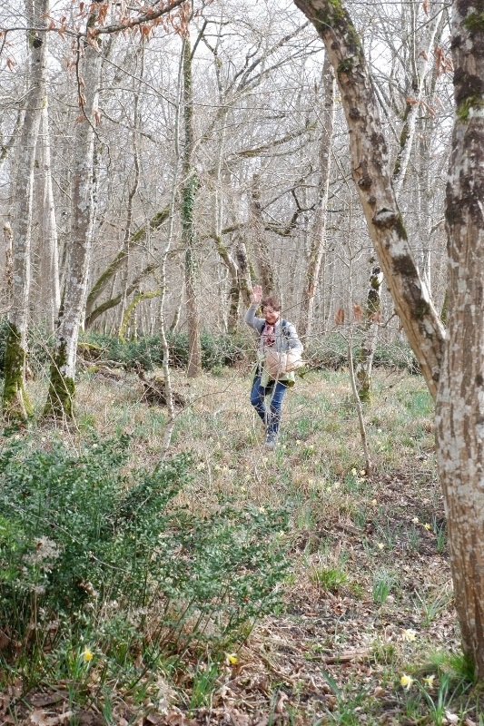 DSCF8880-533x800
