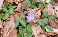 DSCF8866-800x533