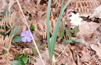 DSCF8869-800x533