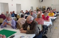 IMG_20220916_153509-957x1280