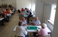 IMG_20220916_153608-957x1280