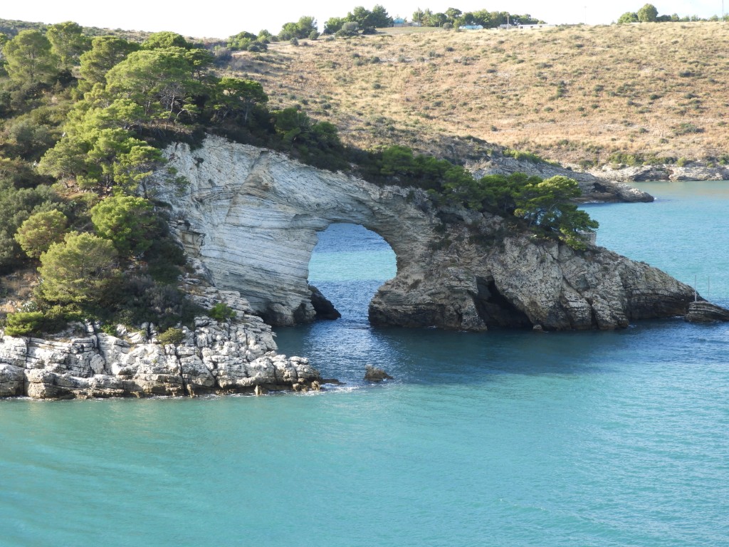 DSCN4849-Moyen