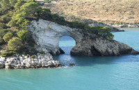 DSCN4849-Moyen