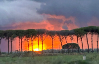 FB_IMG_1759505101633